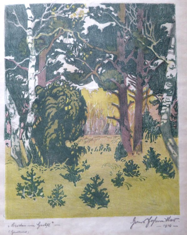 Hofmller, Hans: Birken im Herbst (Lithografie 1910)