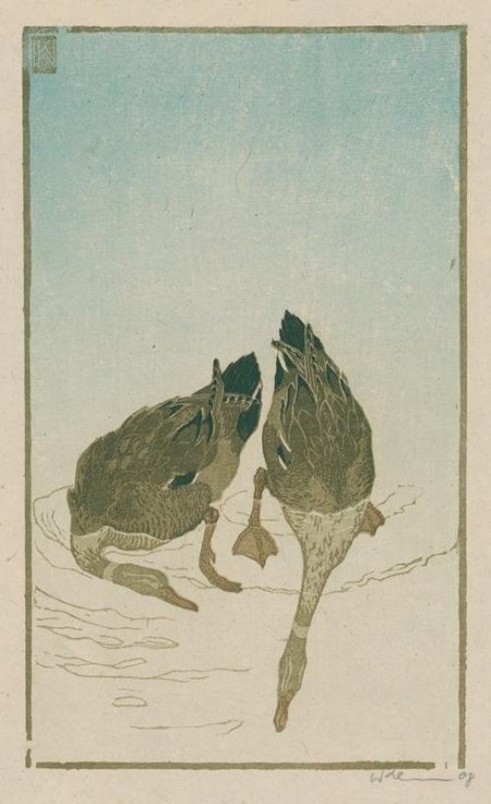 Walter Klemm: Zwei tauchende Enten (Farbholzschnitt)