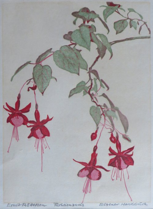 Ernst Rötteken: Fuchsienzweig  (Farbholzschnitt)0