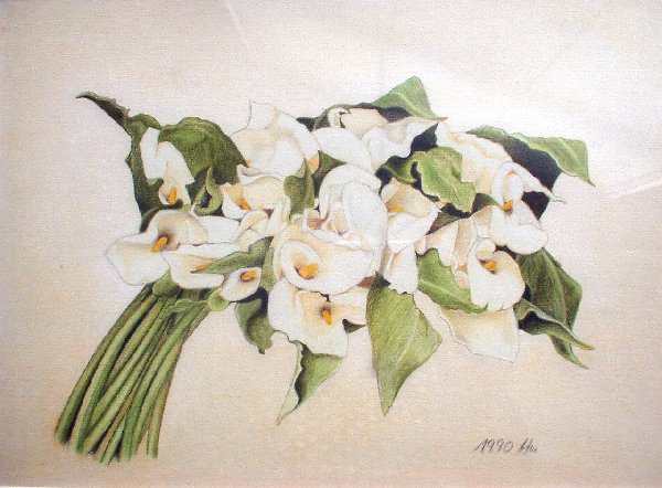 Renate von Ansbach "Callas" (Buntstift)