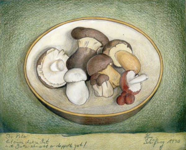 Renate von Ansbach "Der Pilz" (Buntstift)